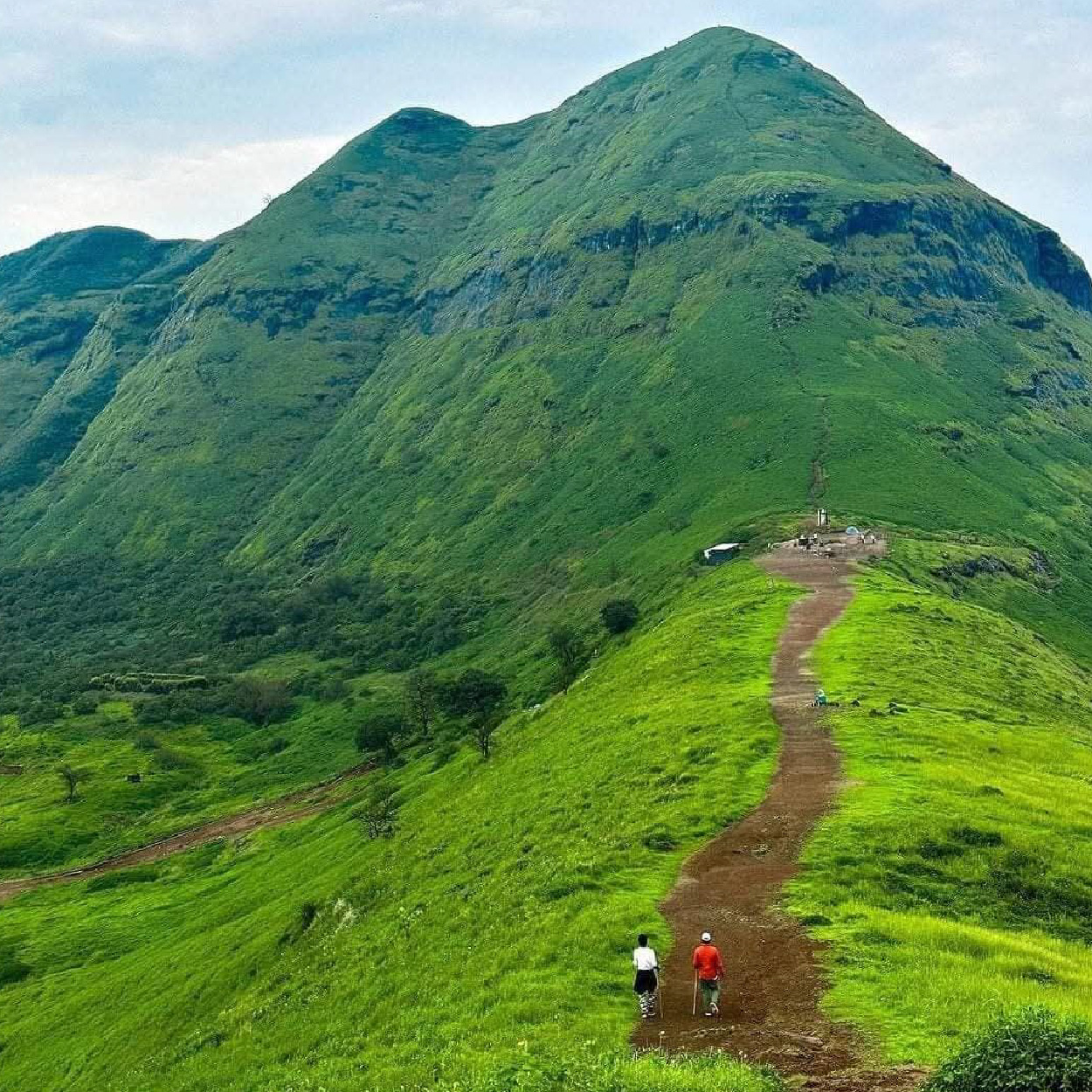 Brahmagiri Hills