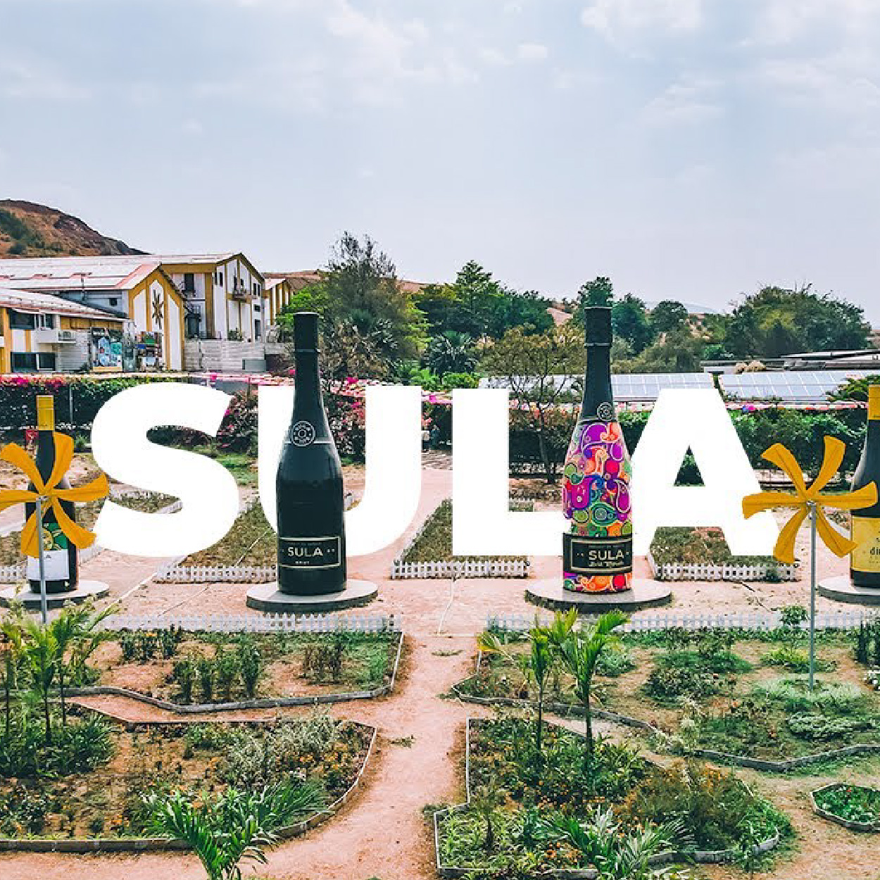 Sula Vineyards