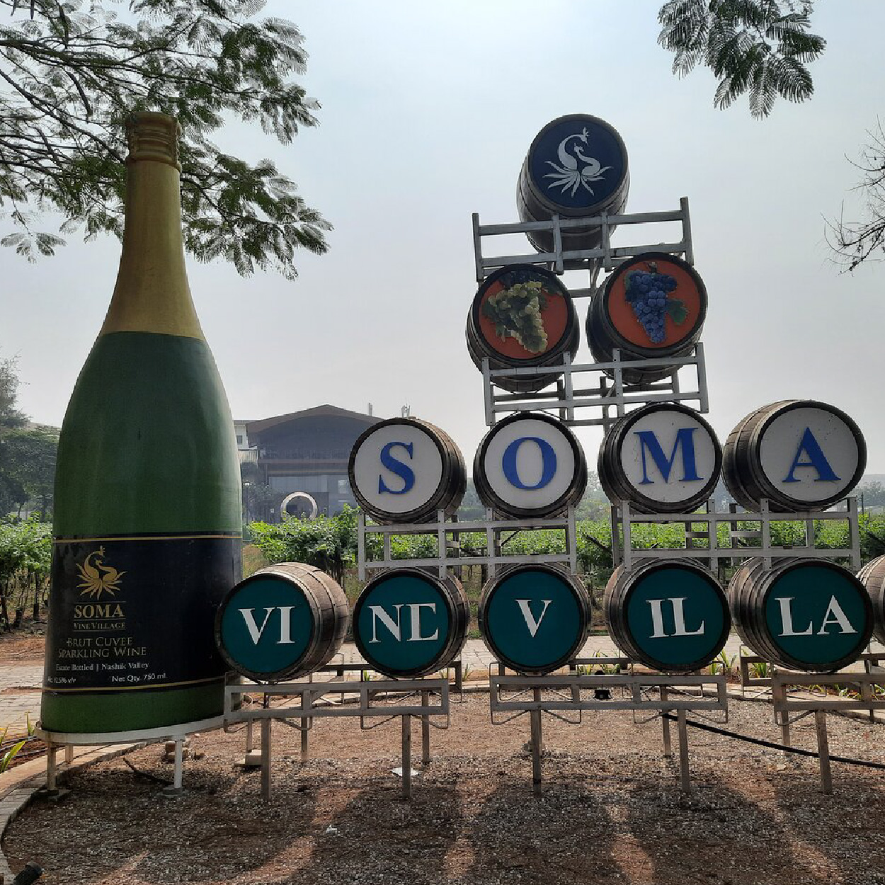 Soma Vine Village